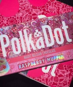 Buy Polkadot Raspberry Muffin Chocolate