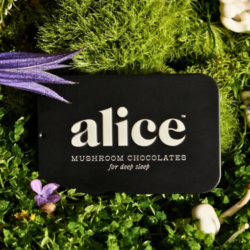 Buy Alice Mushrooms NightCap – 2 Tins (32 Doses)