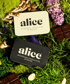 Buy Alice Mushrooms NightCap – 2 Tins (32 Doses)