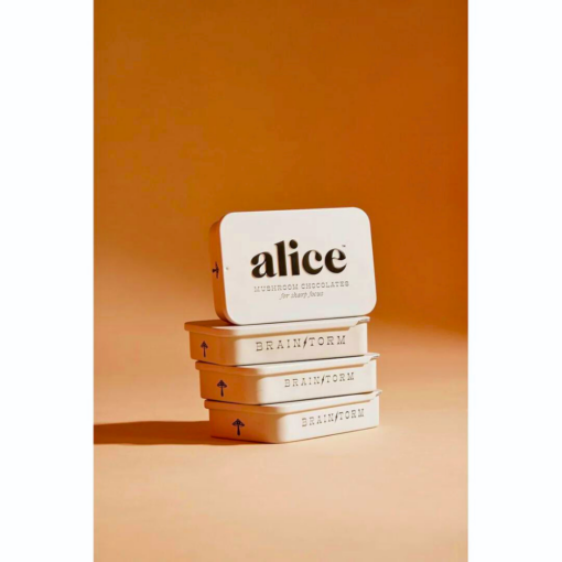 Buy Alice Mushrooms – Brainstorm Chocolate For Sharp Focus