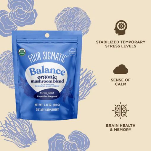 Buy Four Sigmatic Organic Balance Mushroom Blend