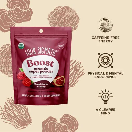 Buy Four Sigmatic Organic Boost Super Powder