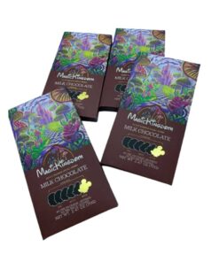 Buy Magic Kingdom Chocolate Bar