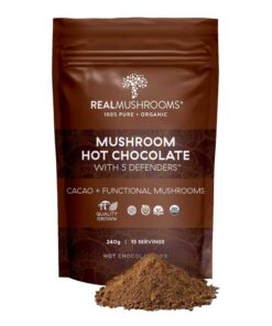 Buy Mushroom Hot Chocolate Mix