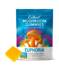 Buy Sunrise Mango Gelato Cutleaf Euphoria Mushroom Gummies 1000mg