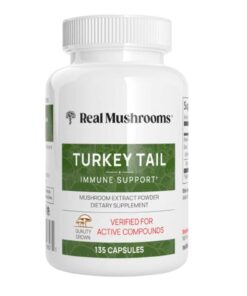 Buy Turkey Tail Mushroom Capsules