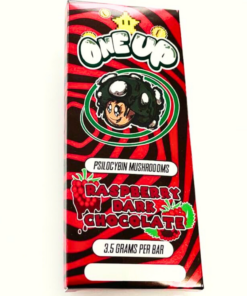 Buy One Up Raspberry Dark Chocolate Shroom Bars